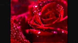 Concrete Blonde - Everybody Knows