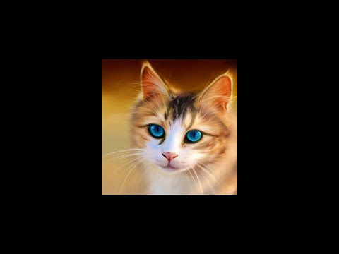 cates videos try not to laugh