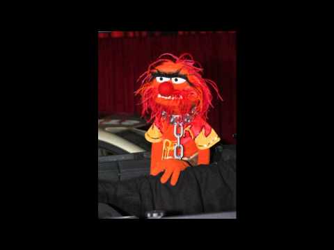 Auerkallio - Animal (Acoustic W.A.S.P. cover)