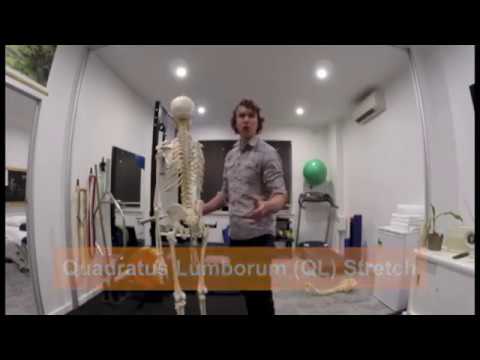 THE BEST Quadratus Lumborum (QL) Stretch