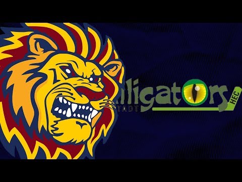 Highlights: EHC Waldkraiburg Vs. Höchstadter EC | 06.01.2019