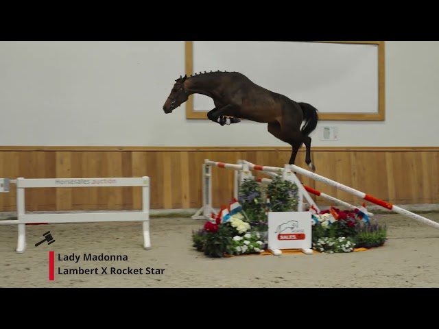 Lady Madonna