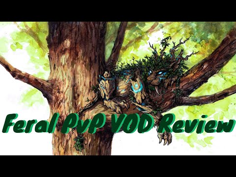 10.2.5 Controller Feral Druid VOD Review