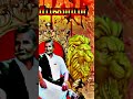 Rettaimalai Srinivasar Mass Status Paraiyarmass Manalmedushankar பரையர் Sampavar Sivakul