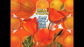 Brian Wilson Lucky Old Sun