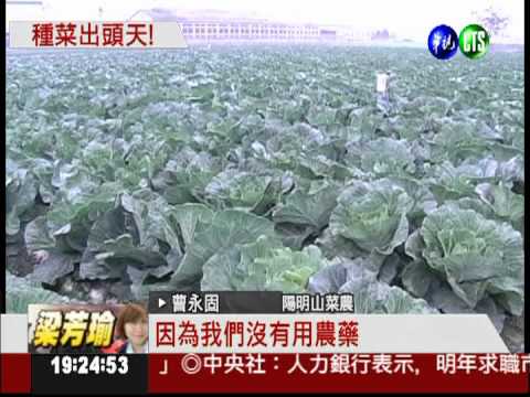 高冷蔬菜留原味 天冷照樣熱賣!