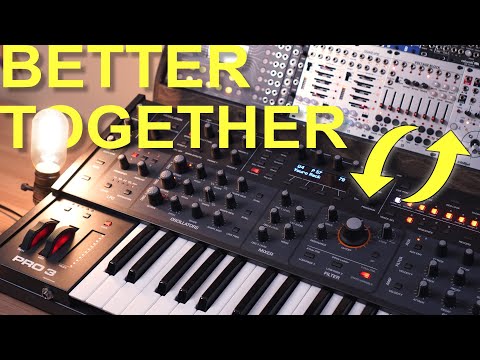 Sequential Pro 3 as a Eurorack brain. Why haven't I been using it this way?