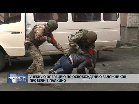 Новости Псков 12.11.2019 / Учебную операцию по освобождению заложников провели в Палкино 