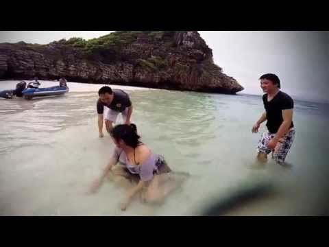Reef Life - Thailand (South Andaman)