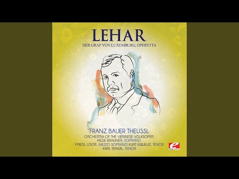 Der Graf von Luxemburg, Operetta: "Intermezzo"