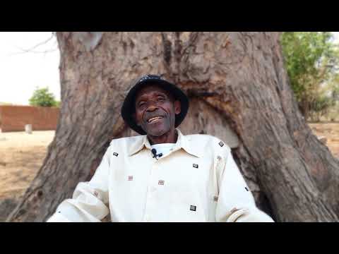 Times Investigation featuring Simba Nkwinda – 20 October 2024