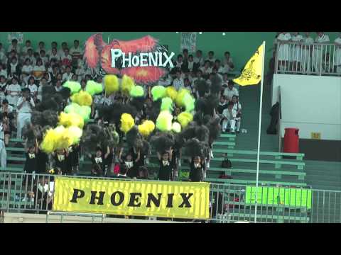 12-13 Swimming Gala Cheering Performance - Phoenix