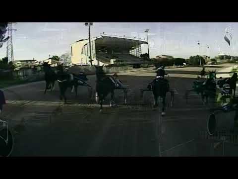 Aversa trotto 27 Ottobre 2021 - 4° Corsa