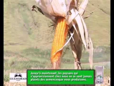 temoignage mais guanomad vakinakaratra itasy