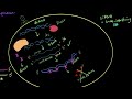 Mechanism of RNA Interference | Biotechnology and its Applications | Biology | Khan Academy