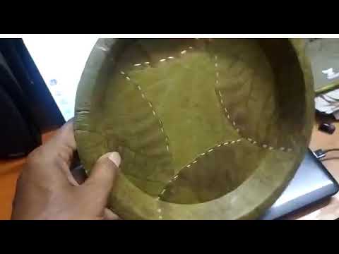 Bagasse Disposable Plate