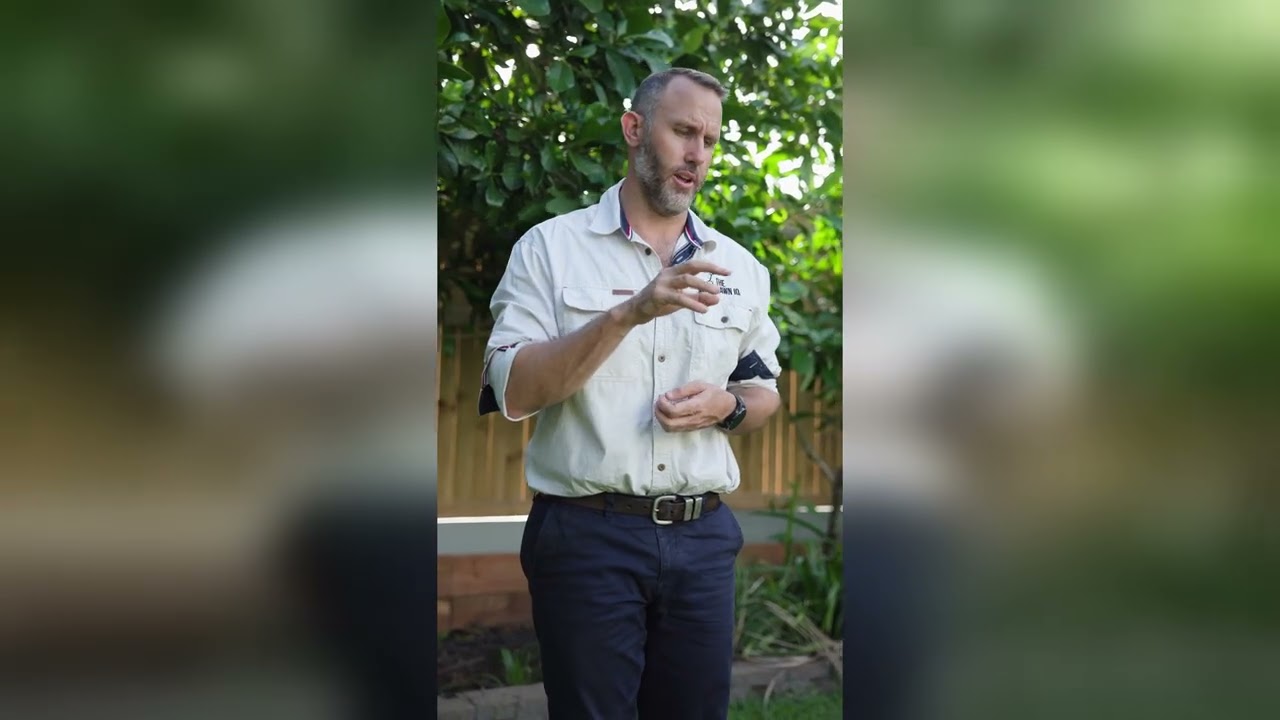 We Want to Hear Your Lawn Questions