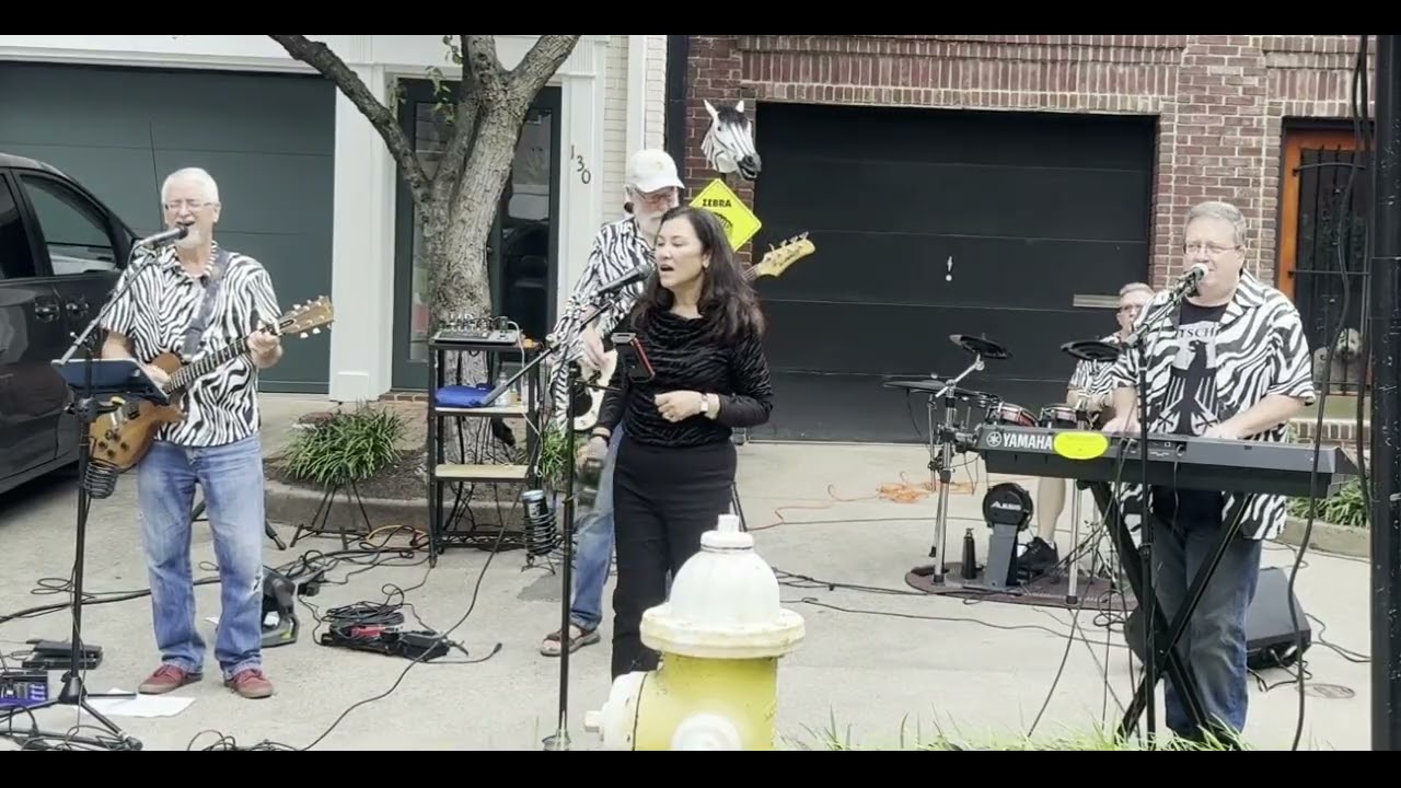 Promotional video thumbnail 3 for Zebra Crossing Band