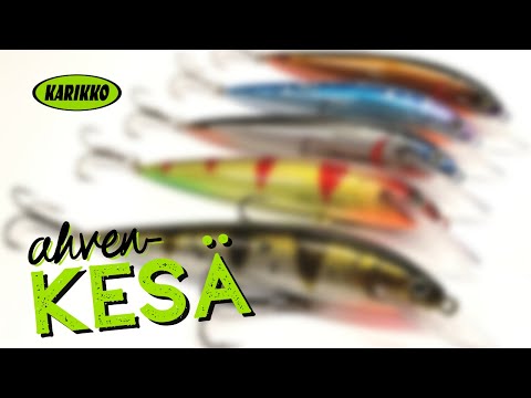 Ahvenkesä | Ahvenenkalastajan kesän aloitus