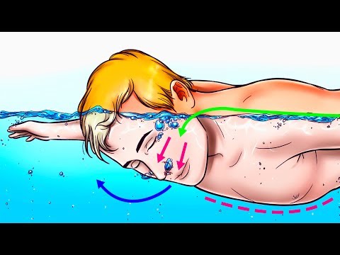 沈没するクルーズ船で生き残るための4つのヒント (4 Tips on How to Survive a Sinking Cruise Ship)