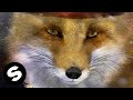 PROBASS ∆ HARDI - Drama (Official Audio)