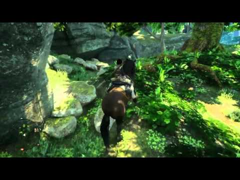 Dragon age inquisition mage solo part 70 (hard) Walk In The Woods