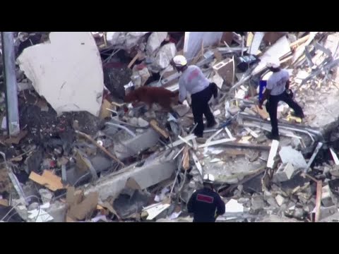 Dozens missing after Florida condo collapses