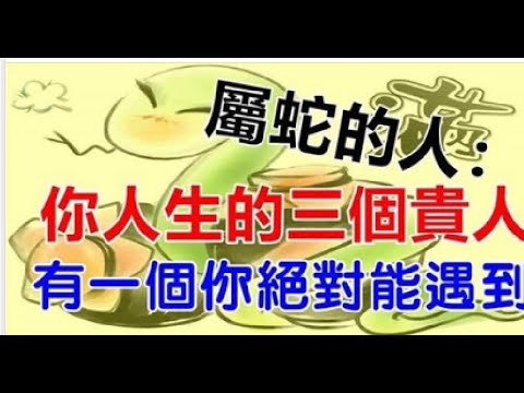 屬蛇的貴人