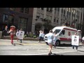 Animal Internal Medicine And Specialty Services San Francisco