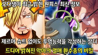 [원피스 최신정보]제르마 슈트 없이도 투명능력을 각성하는 상디 그리고 드디어 밝혀진 악마의 열매 환수종의 비밀