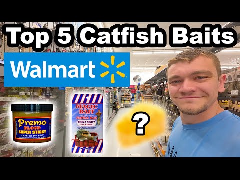 Top 5 Catfish Baits in Walmart for Beginners!