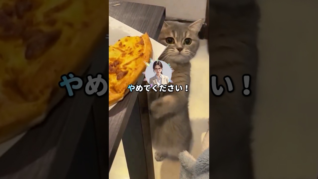 高校教師の俺だけなぜか悪者扱いされた！