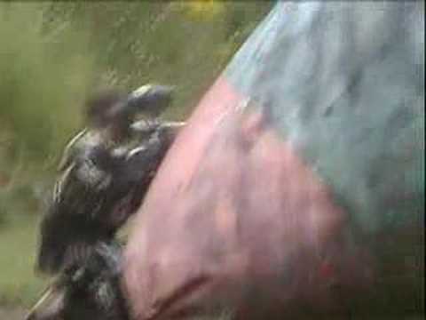 Clips of Team Unknown at Matts Outback 5- man tournament