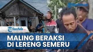 Maling Rumah Kosong Korban Erupsi Semeru Tertangkap, Nekat Beraksi Berujung Diamuk Warga