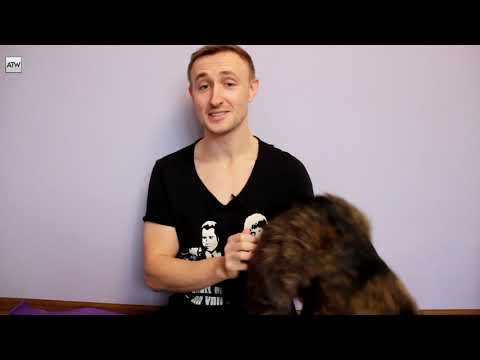 Insight: Kirill Englisher