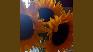 The Start of the End