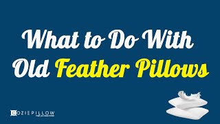 What to Do With Old Feather Pillows | Some Cool Things You Can Try