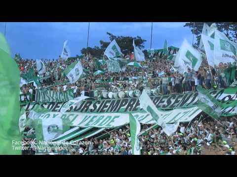 "Los Del Sur- El empuje de un pueblo / Nacional 1- once caldas 2 Liga Ãguila II 2015 [HD]" Barra: Los del Sur &bull; Club: Atlético Nacional