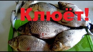 Рыбалка в анапе и окрестностях