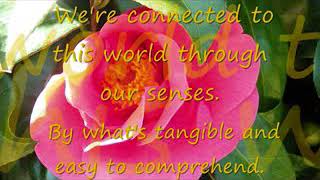 Status is changing: lyrics video