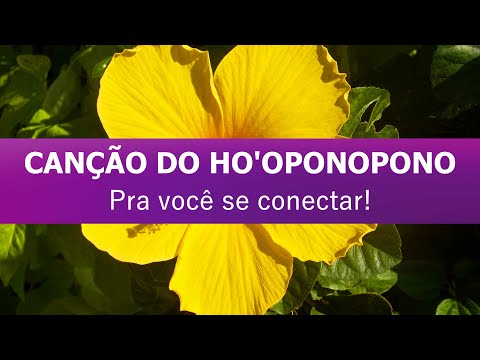 CANÇÃO DO HO'OPONOPONO - Pra você se conectar. MARCUS VIANA.