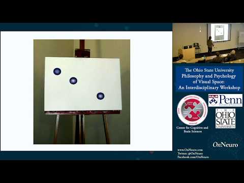 The Geometry of the Visual Field and its Philosophical Significance (Dr. Farid Masrour)