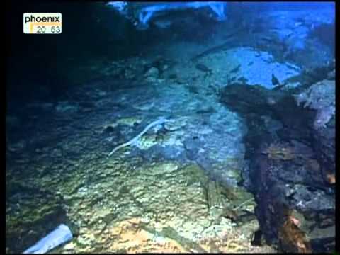 Das Gold der SS Republic 5/5