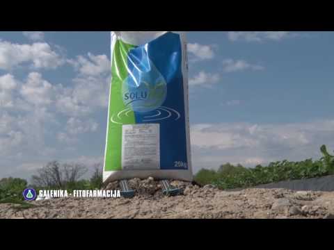 Preporuke za zastitu jagoda, Galenika Fitofarmacija - U nasem ataru 684