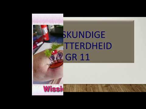 WISKUNDE GELETTERDHEID GRAAD 11: 12 Junie 2020 - periode 4 (12114)