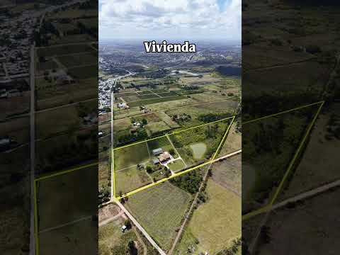 Chacra de 7 hectareas en Toledo Canelones