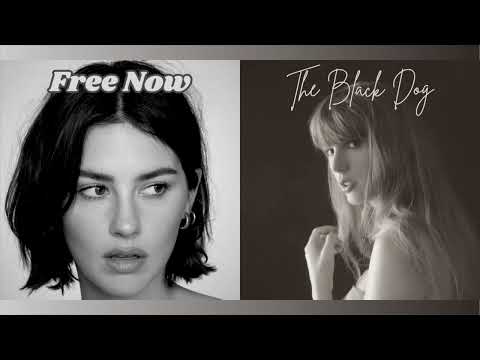 Free Now x The Black Dog [Mashup] - Gracie Abrams and Taylor Swift