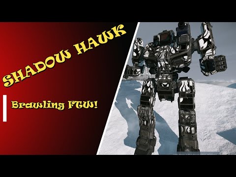 SHADOW HAWK 2D2 By Request!