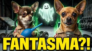 OS CÃOÇADORES DE FANTASMAS MAIS ATRAPALHADOS DO MUNDO!