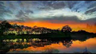 Peter, Sue &amp; Marc - Amazonas